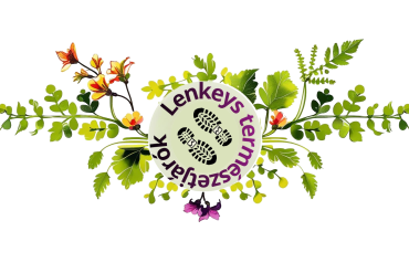 Neumannos versenyeredmények